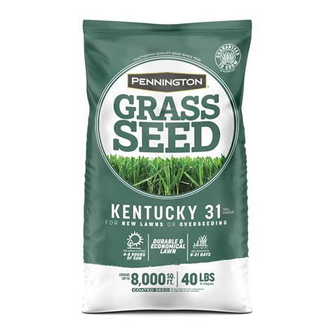 Lawn seed lowes - Pennington Kentucky 31 40-lb Tall Fescue Grass Seed. Make your yard the go-to spot for outdoor celebrations with this bag of Pennington Kentucky 31 tall fescue grass seed. The seeds feature Penkoted coating that protects seedlings from soil born diseases and insects, and produce a light green, drought-resistant turf grass.